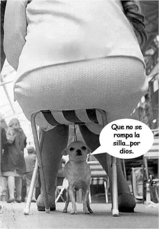 Толстый юмор Ширина, Pinterest, Длиннопост