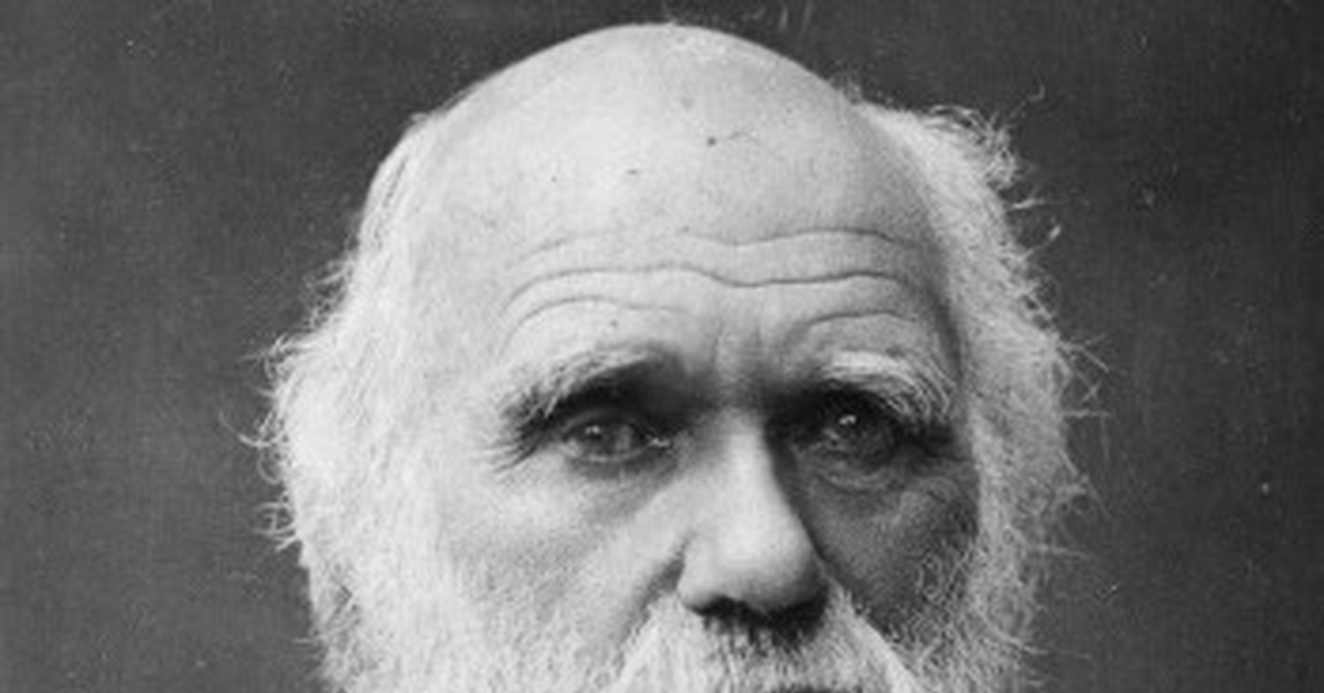 Darwin 2. Darwin 2. Darwin 2. Darwin 2. Палатка coleman 1542.