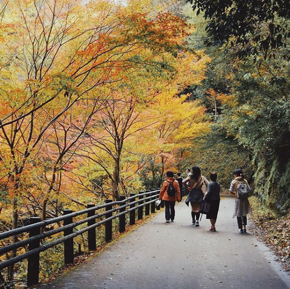 Kyoto. Japan - Kyoto, Japan, The photo, Longpost