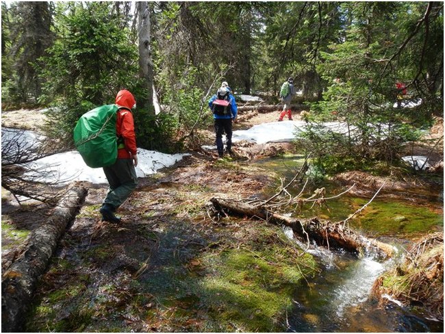 One May weekend on Mount Oslyanka (May 2016) - My, Hike, Tourism, Oslyanka, Middle Ural, Ural mountains, , Longpost