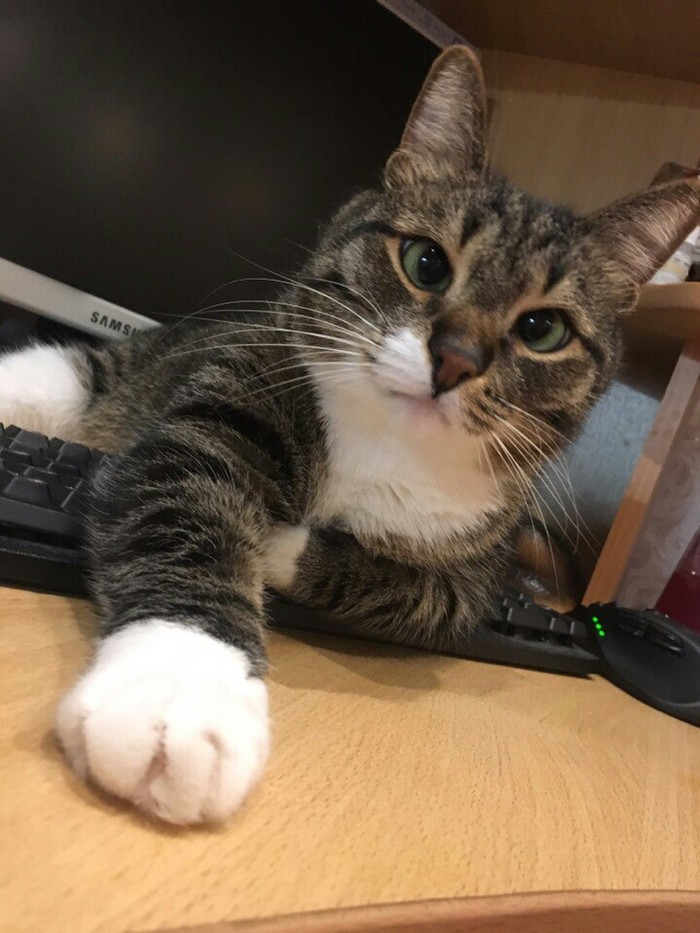 Поговори со мной, человек.