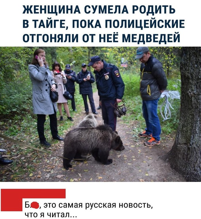 News from Russia. - Picture with text, Childbirth, Bear