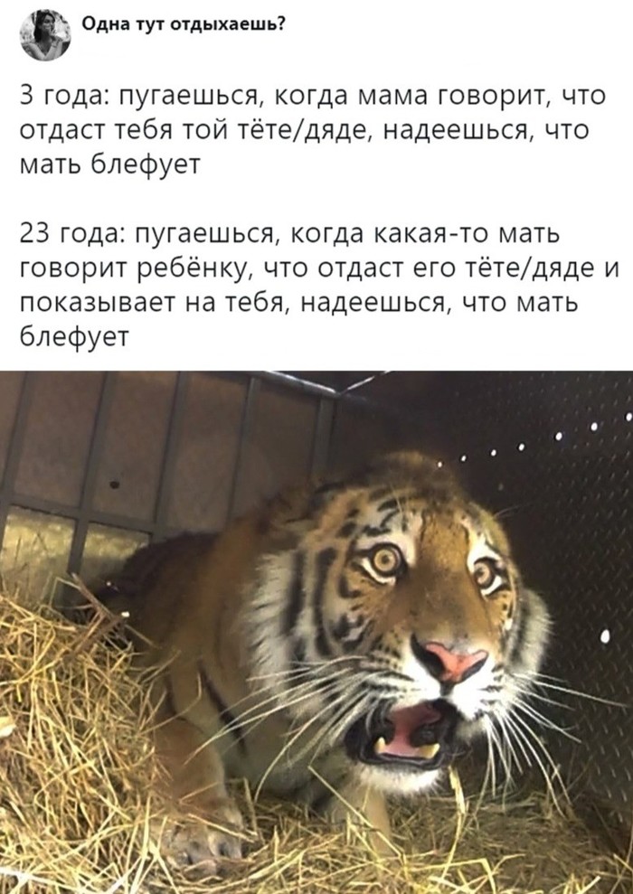 ��� ����