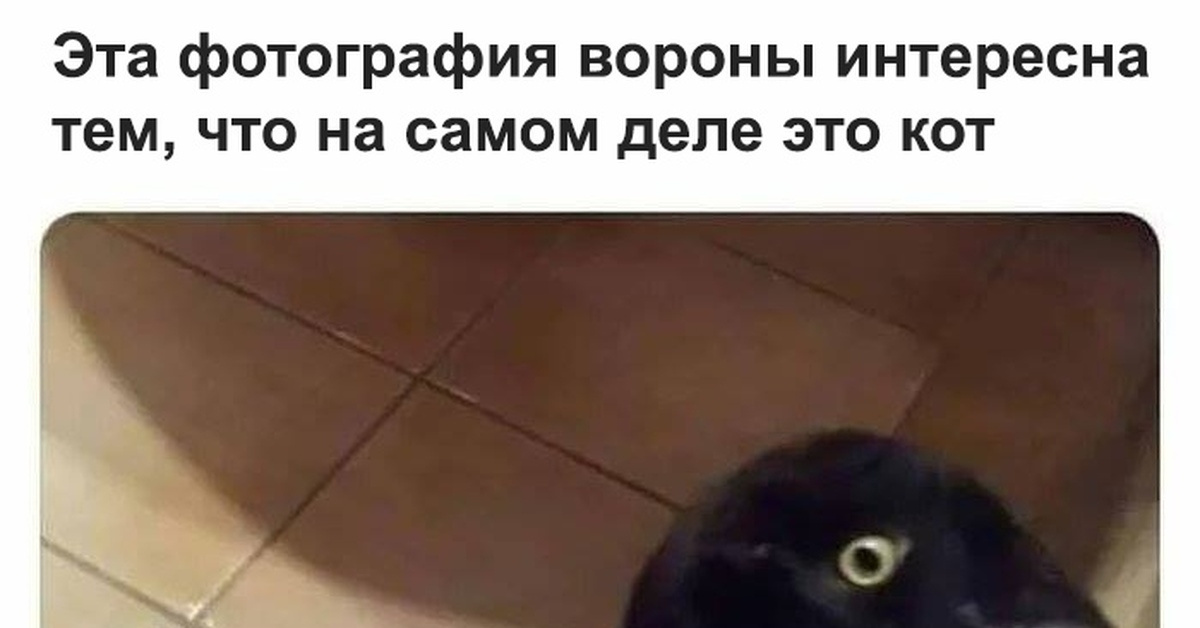 Если видите на картинке ворону надо бросать пить