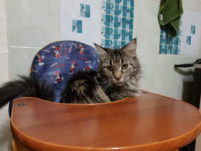 ���������� ����������...