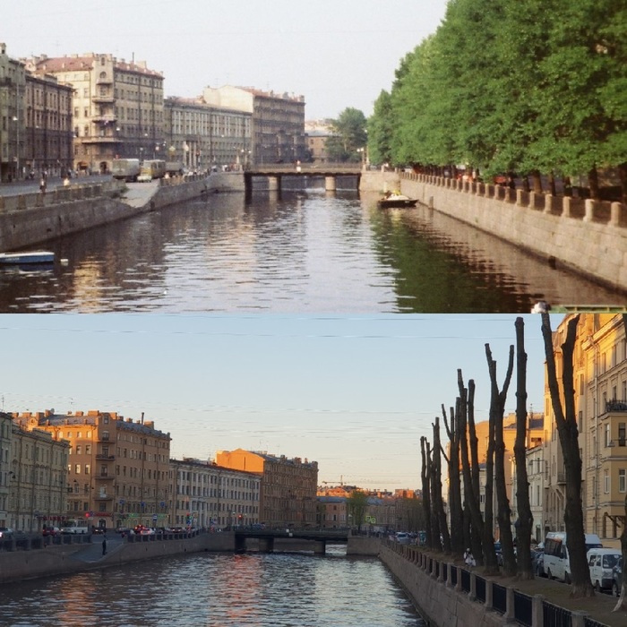 How Petersburg turned into a stone jungle - Saint Petersburg, Tree, Felling, Landscaping, Urbanism, Longpost