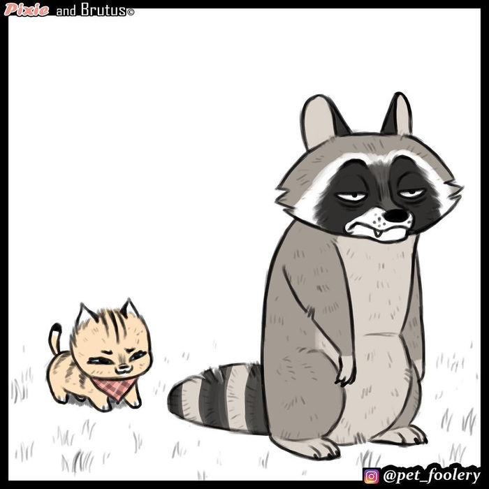  , , Pet Foolery,   , , , ,  