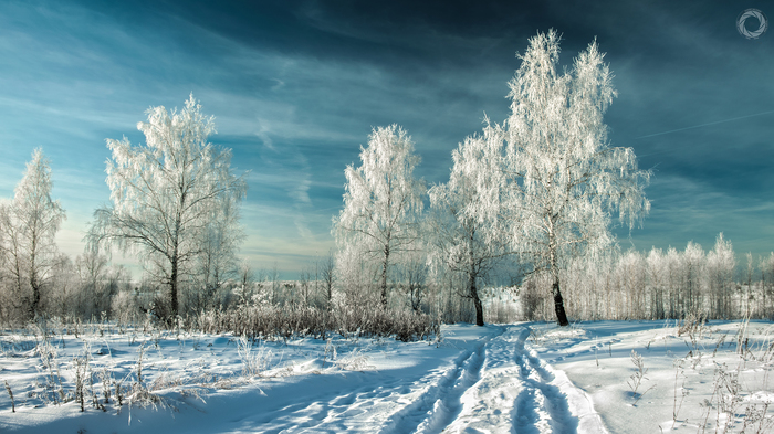 The beauty of the winter forest - My, Forest, The photo, Landscape, Ab87