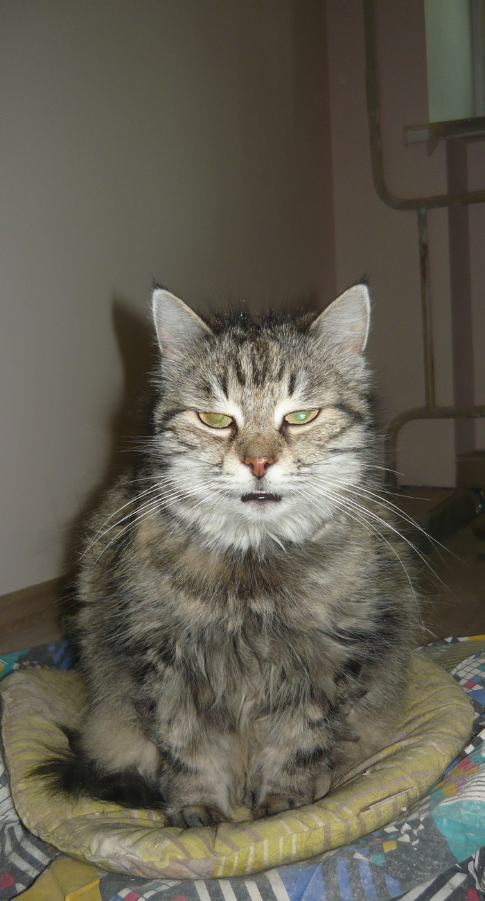 �� �����, �������� ��� ��� ��� ������������.