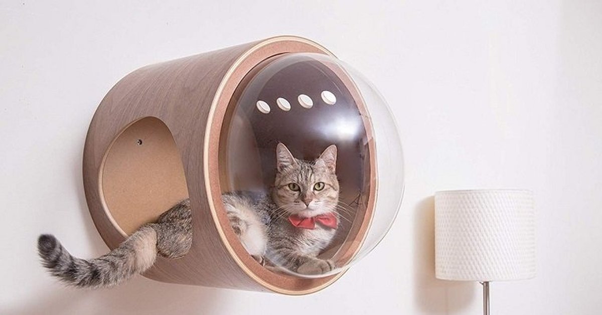 Купить Домик Для Кота На Стену