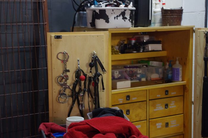 Особенный замок BDSM, Сан-Франциско, Kink, Экскурсия, Длиннопост