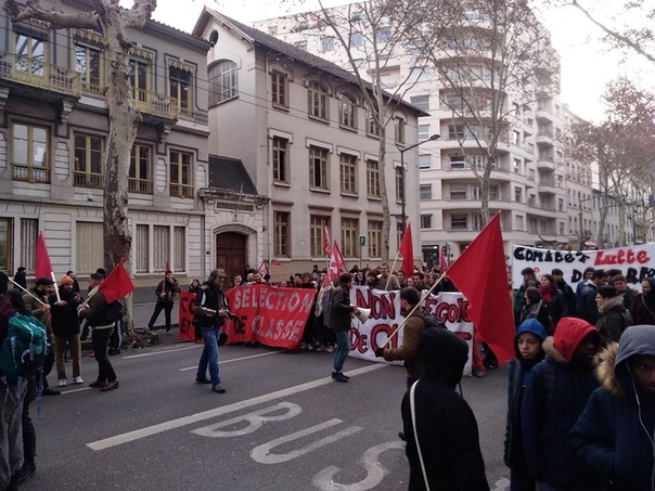 Vive la France - Demonstration, France, Socialism, the USSR, The photo, Lyon, Longpost