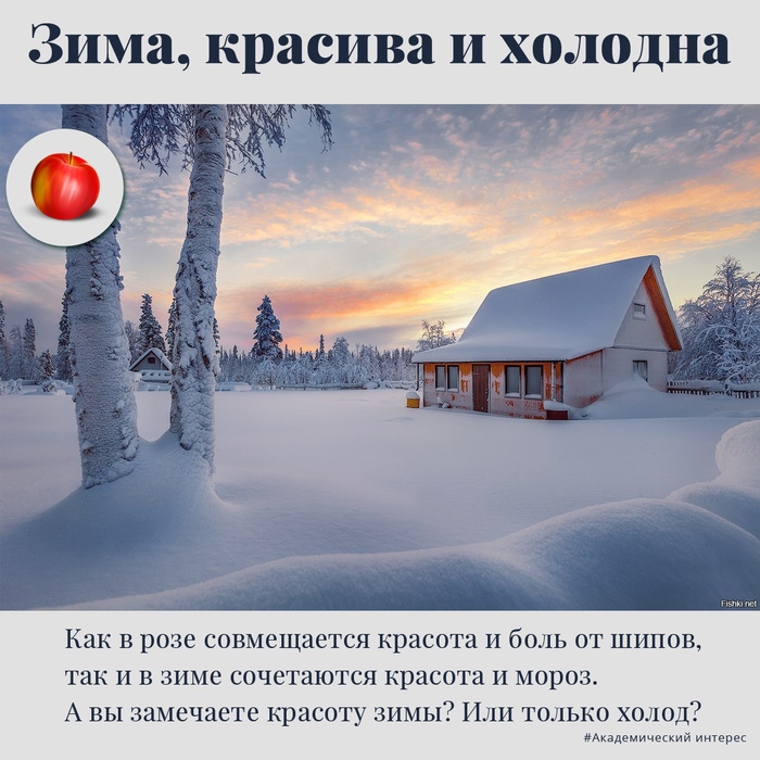 Are you nice or cold? - Winter, beauty, Nature, freezing, 