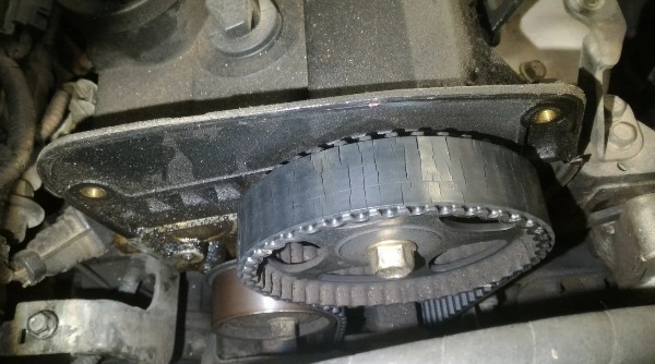 Man has traveled south and is going north. - Timing belt, Auto
