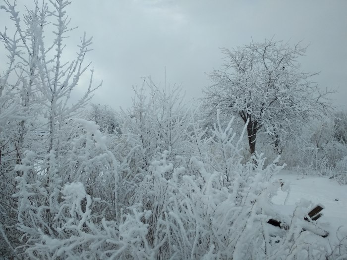 Зима в наших краях Зима, Фотография, Красота, Длиннопост