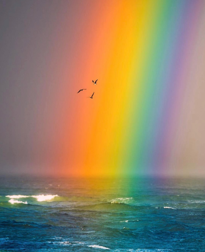 Rainbow Радуга, Фотография