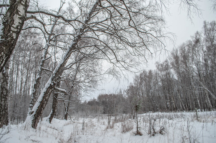 Photo walk. - My, The photo, Landscape, Winter, Nature, Hike, Russia, Kazan, Lebyazhye, Longpost