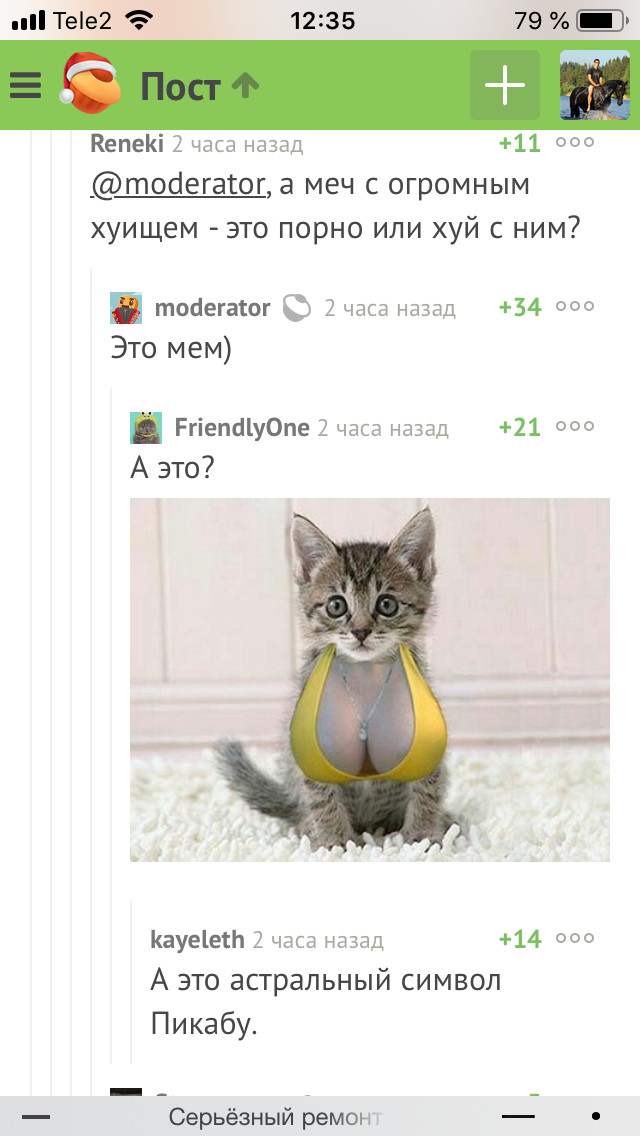 Comments - Comments, cat, Boobs