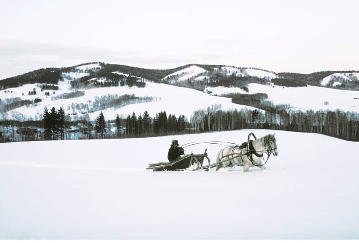 �������, � �������� ������ ����...