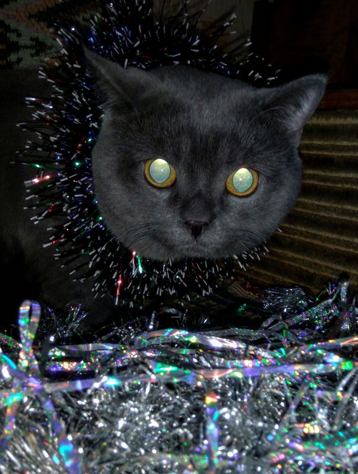        2019,  , , , , ,   , 