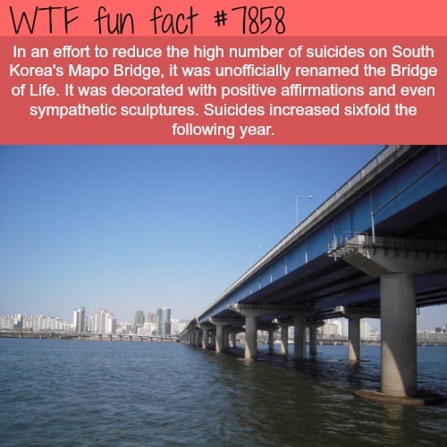 Fucking fact #7858 - Bridge, Attempt, South Korea