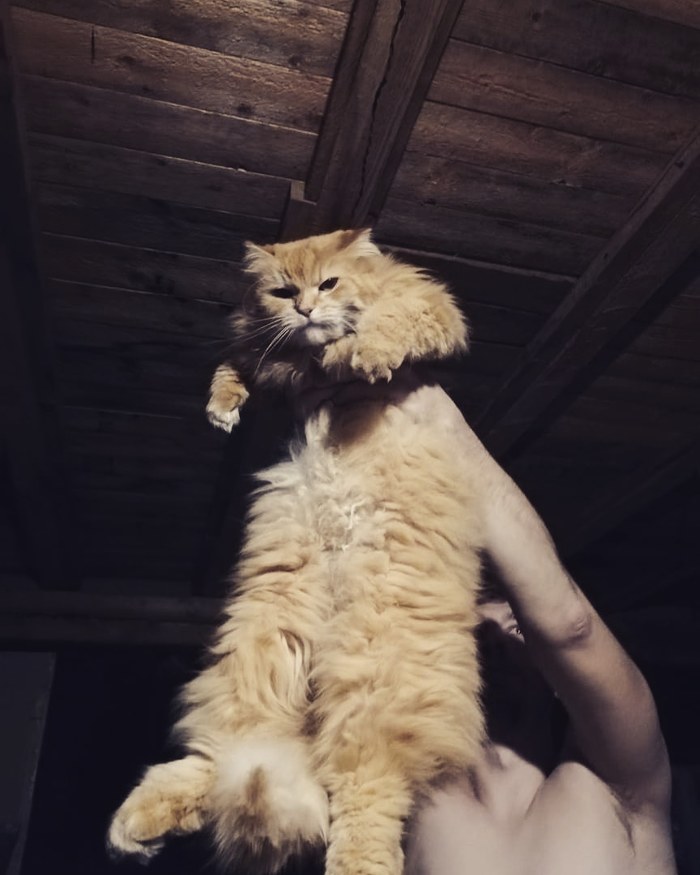 Когда меня не станет, это всё будет твоим