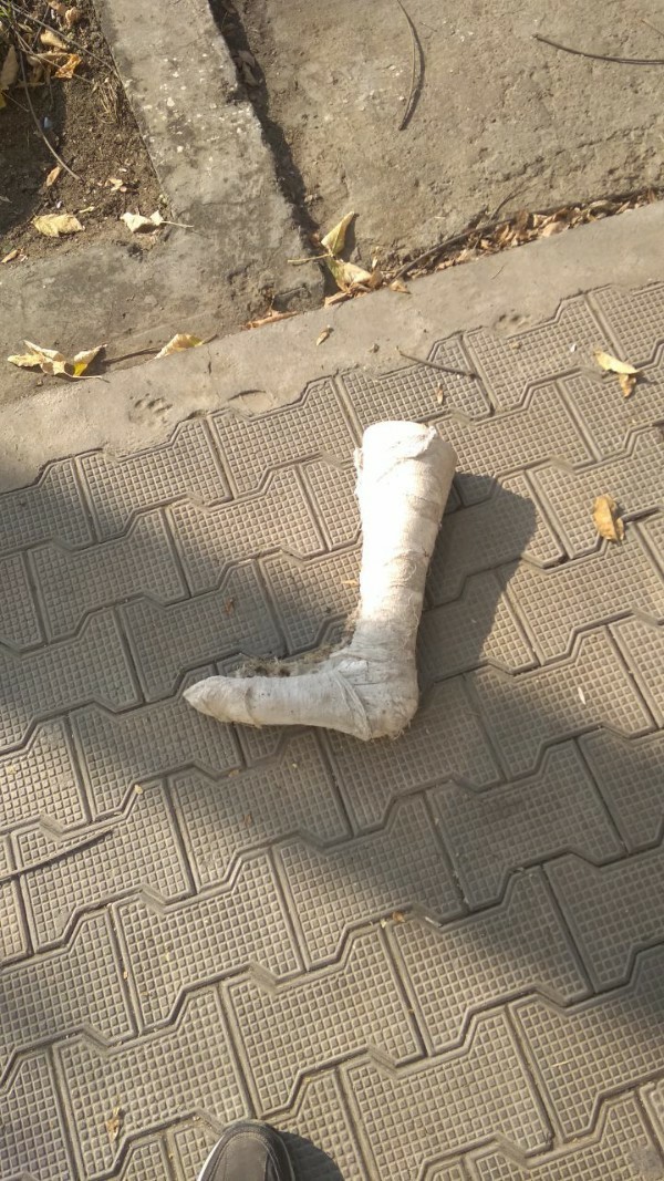 This is a leg - who needs a leg! © - My, Gypsum, WTF