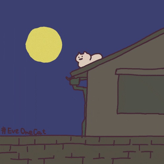 Котячья катастрофа