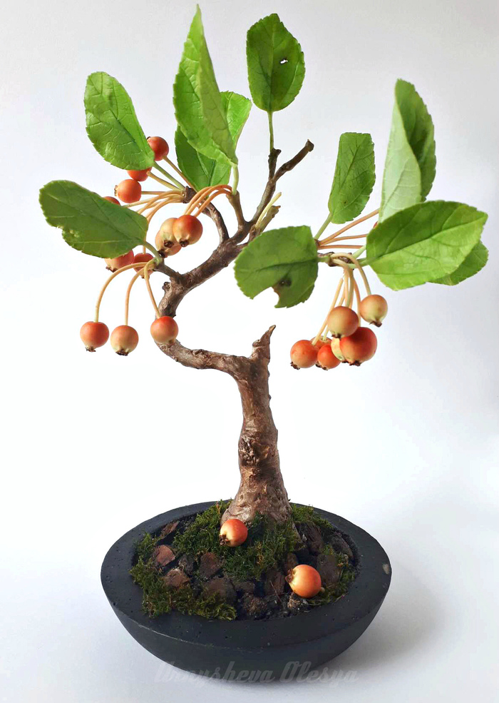 Bonsai apple tree made of polymer clay. - My, Bonsai, Polymer clay, Apple tree, Needlework without process, Tree, Longpost, Handmade