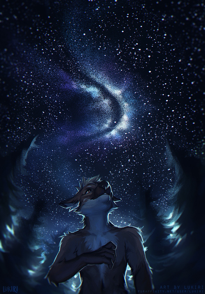 Starry Sky - Фурри, Арт, Антро, Furry Canine, Звездное небо, Lukiri, Reilukah