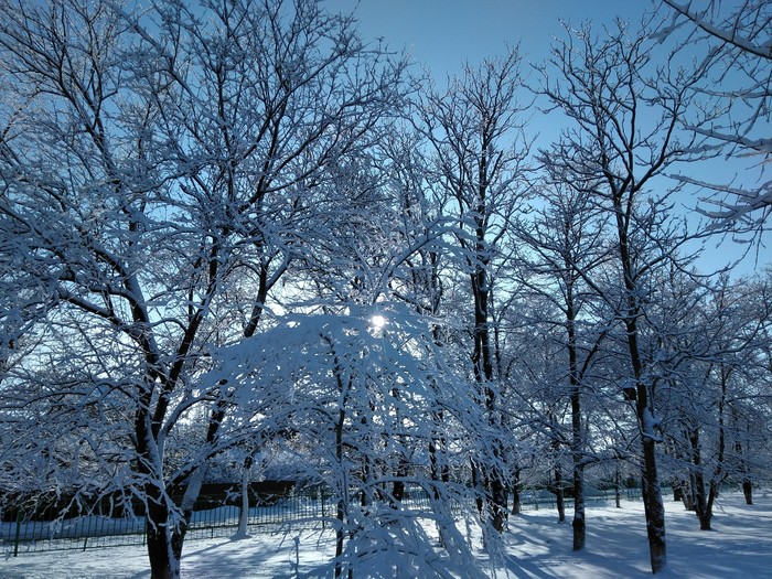 �������)