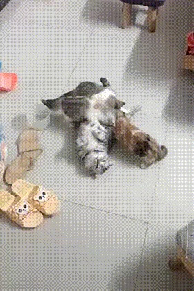    ,  ,     