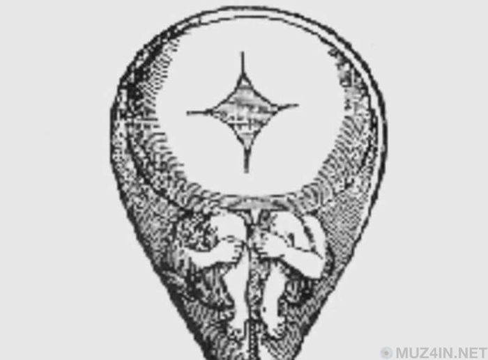 10   ,      , , , , 