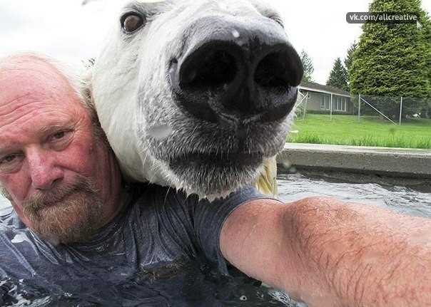 Amazing cases of friendship between animals and humans - Longpost, Interesting, Animals, friendship