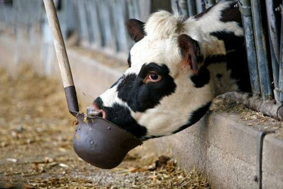 ��� ��� ����� ���������� �������� �����?