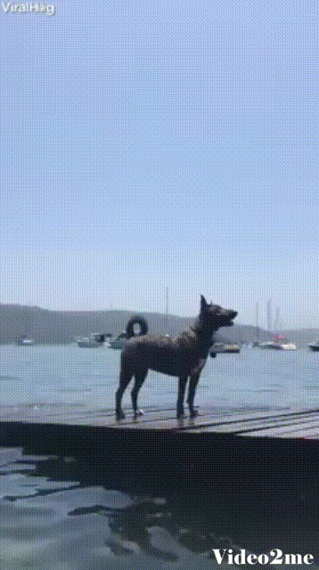 Переполнена
