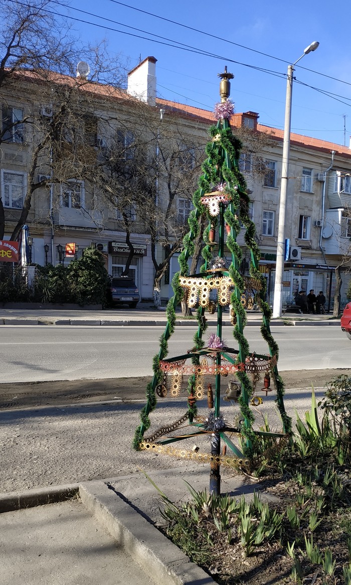 The tree is still standing. - My, Sevastopol, Christmas tree, February, Weather