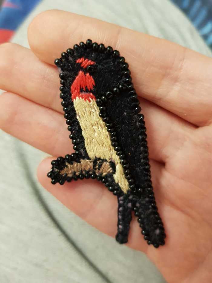 How to unsee this? - My, Martin, Embroidery, Brooch, It seemed, How to unsee it