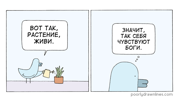 Растение - Перевел сам, Poorly Drawn Lines, Комиксы