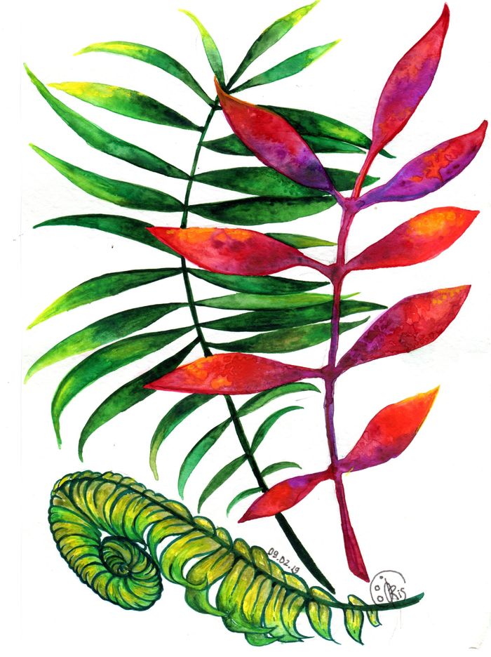 Watercolor - My, Drawing, Watercolor, Leaves, Branch, Greenery, Fern, Plants