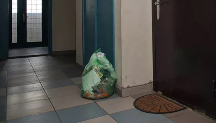 Garbage bag in the entrance as a cultural phenomenon (blasphemous diatribe) - Критика, , Entrance, Garbage, Mat, Neighbours