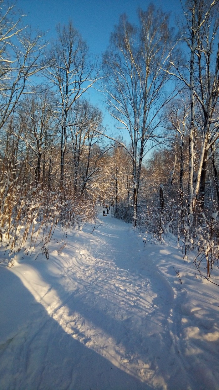 #winter this year is beautiful, but I already miss spring - The nature of Russia, Hiking, Travels, Leningrad, Saint Petersburg, Longpost