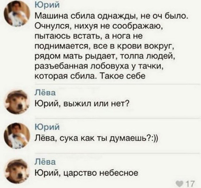 ��� �� ������� ˸��