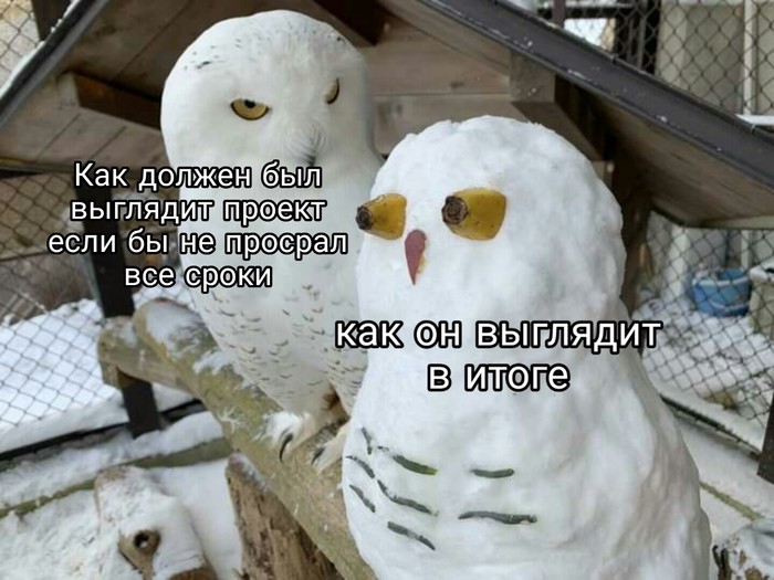 Суровая реальность