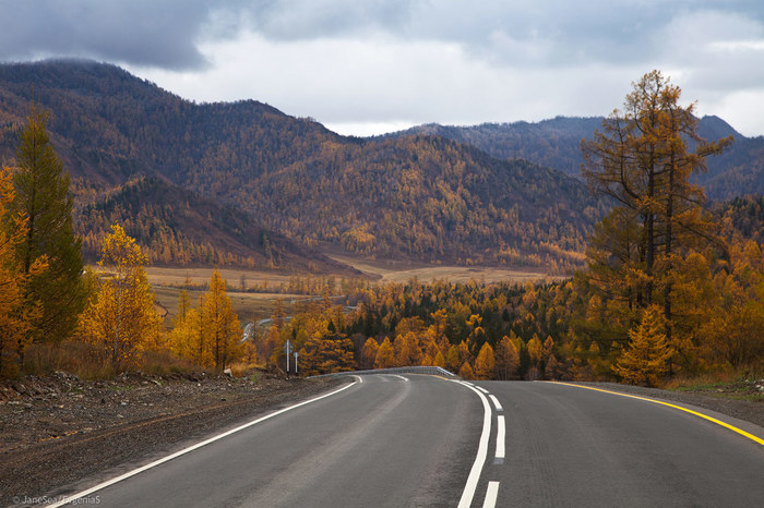 Another Planet or Altai is not for everyone. - My, Altai, Mountain Altai, Road trip, Longpost, Longtext, Russia, Travels, Altai Republic