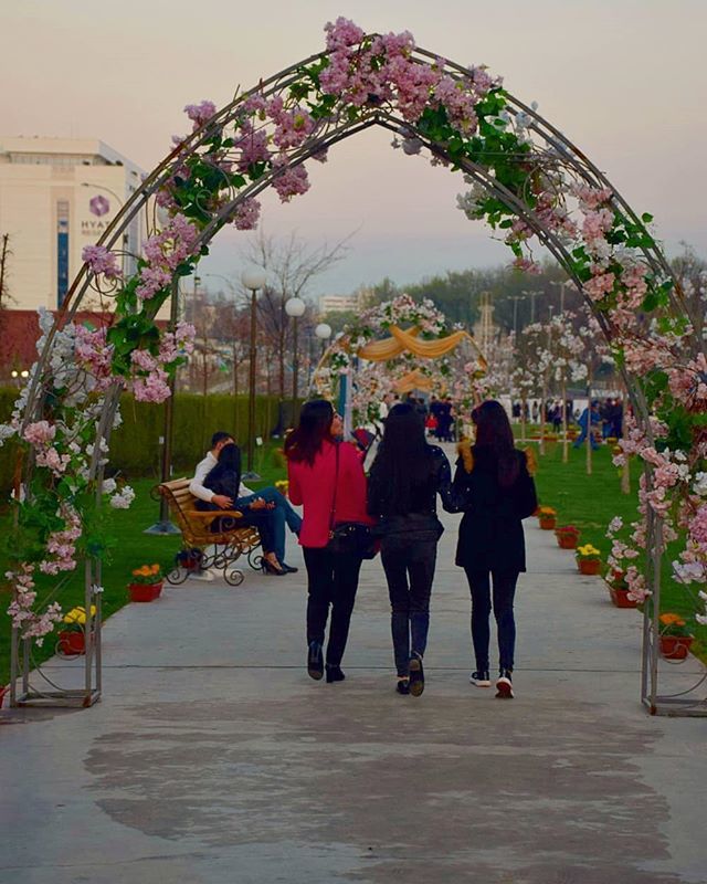 Bread city in spring - Tashkent, Spring, The photo, Flowers, Town, Longpost