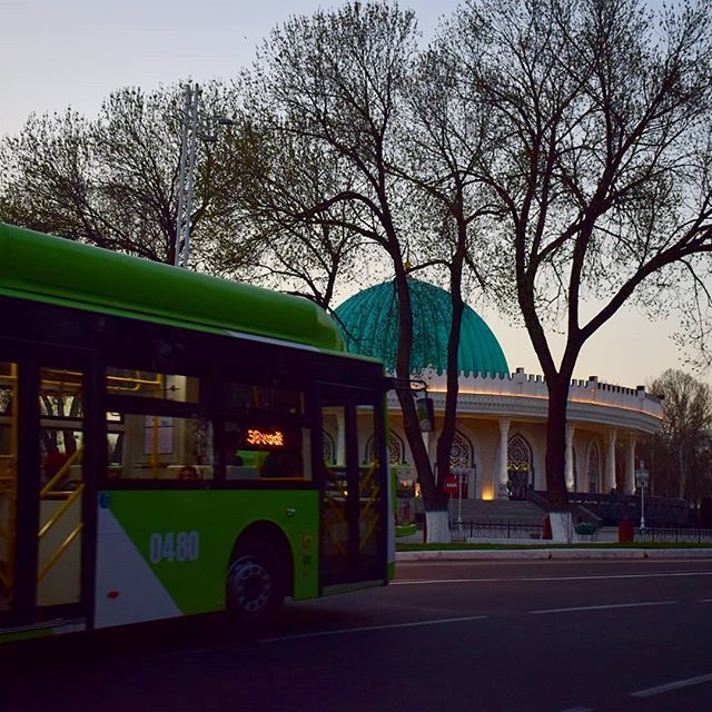 Bread city in spring - Tashkent, Spring, The photo, Flowers, Town, Longpost