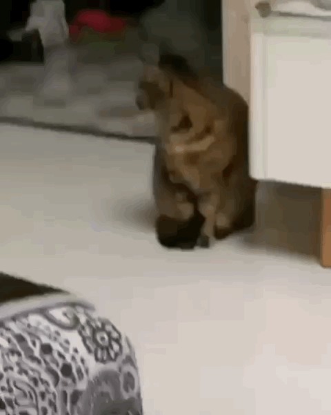Это ты на кого пальцем тычешь?