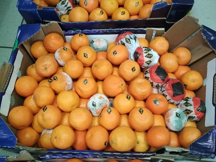 Гимн про "Магнит" | Пикабу