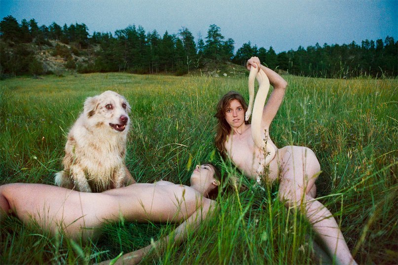 Weird but nice photo - NSFW, Dog, Photo, Girls